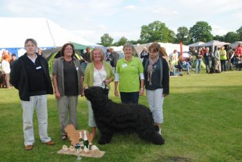 Forte winning Best in Show