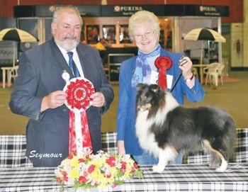 Gordon judging BIS - Photo by Alan Seymour